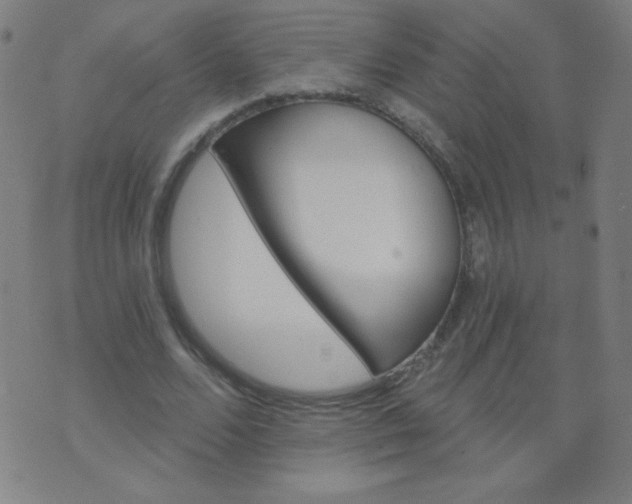 X0000070420680200606231853