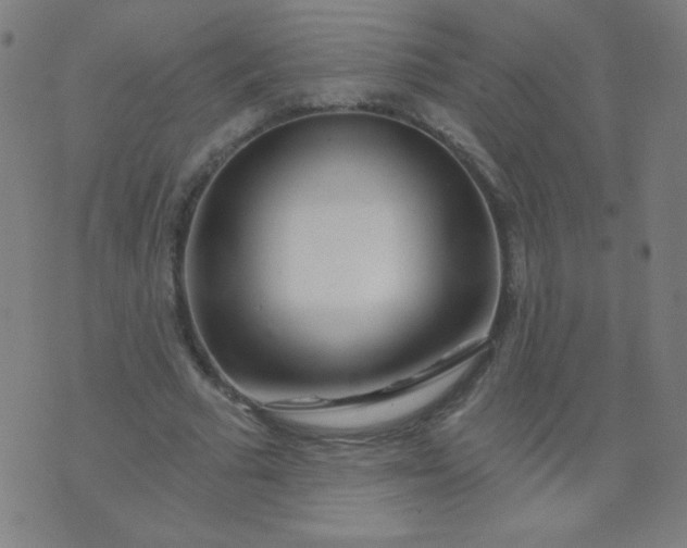 X0000070420681200606231853