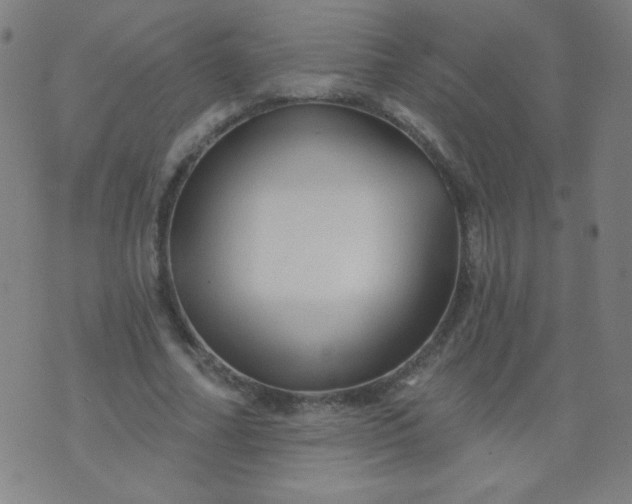 X0000070420682200606231853