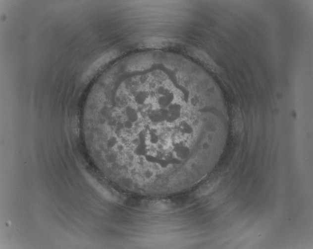 X0000070420683200606231853