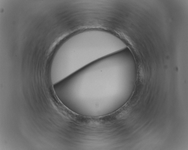 X0000070420684200606231853