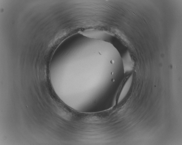 X0000070420685200606231853