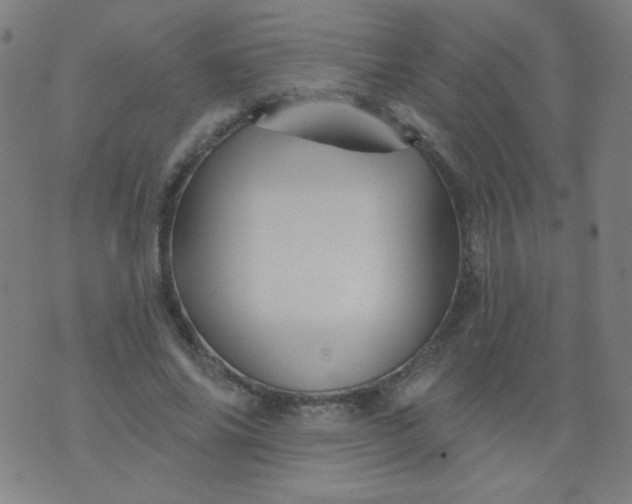 X0000070420686200606231853