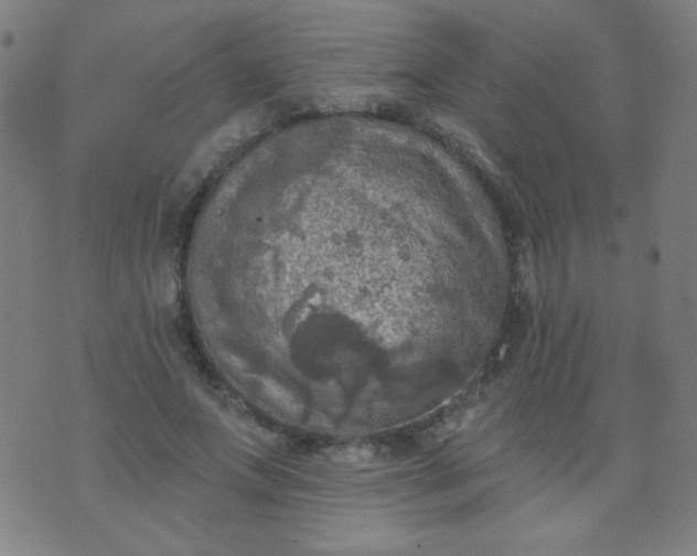 X0000070420687200606231853