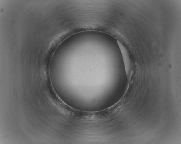 X0000070420688200606231853