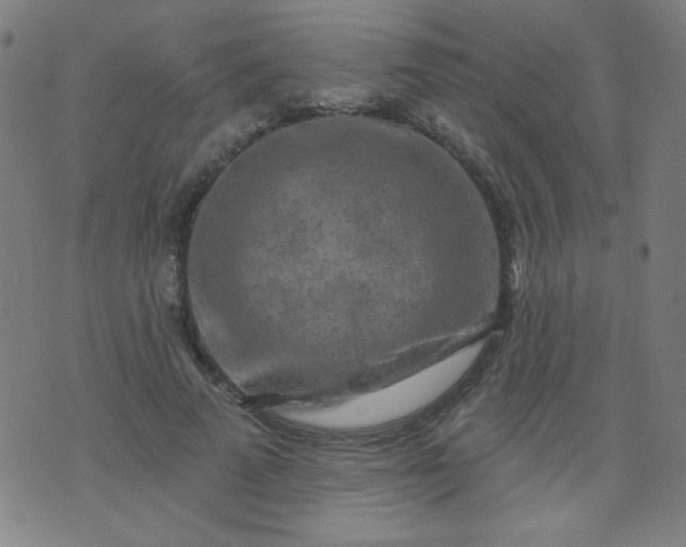 X0000070420689200606231853