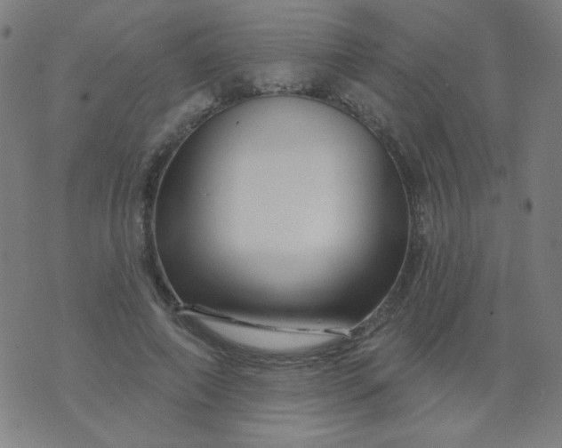 X0000070420690200606231853