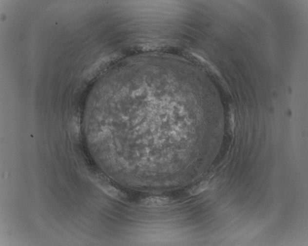 X0000070420691200606231853