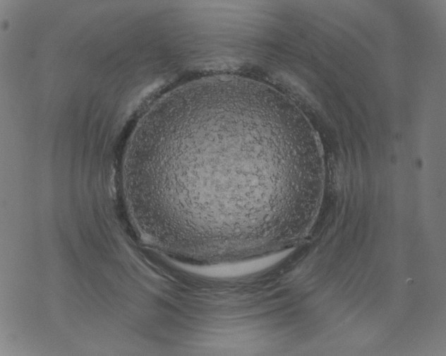 X0000070420692200606231853