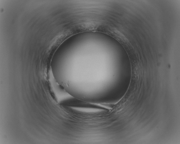 X0000070420693200606231853