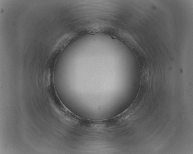 X0000070420694200606231853