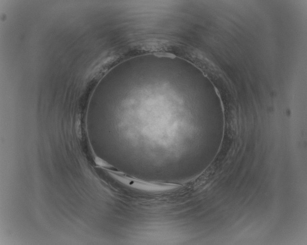 X0000070420696200606231853