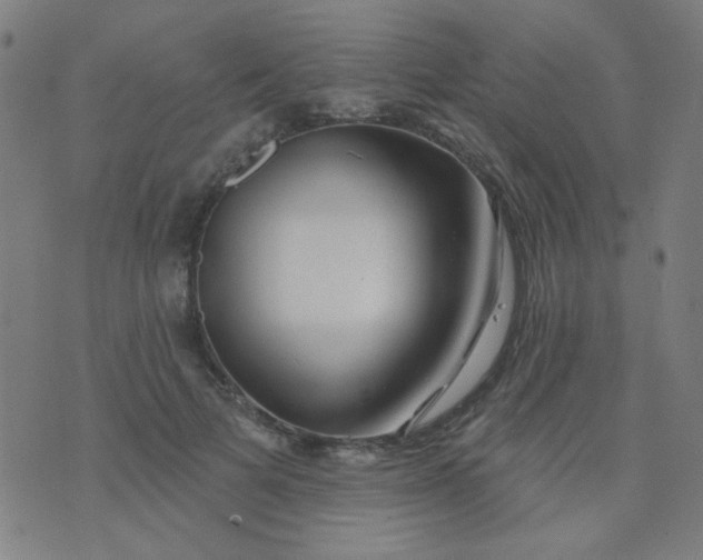 X0000070420697200606231853