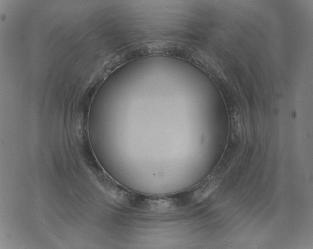 X0000070420698200606231853