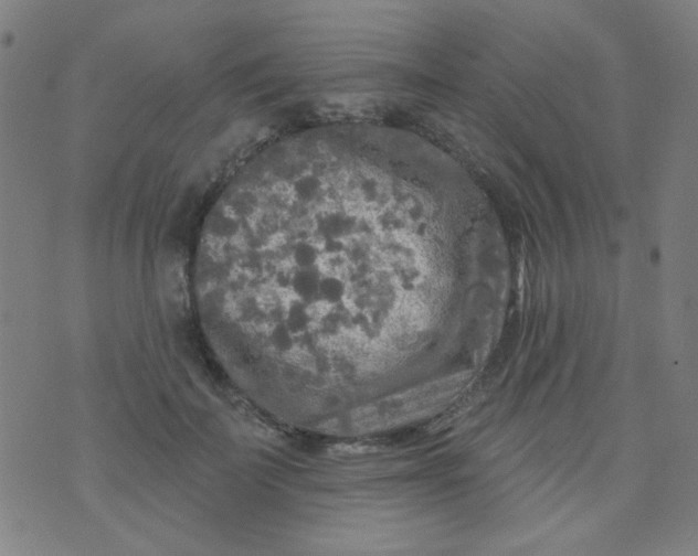 X0000070420699200606231853