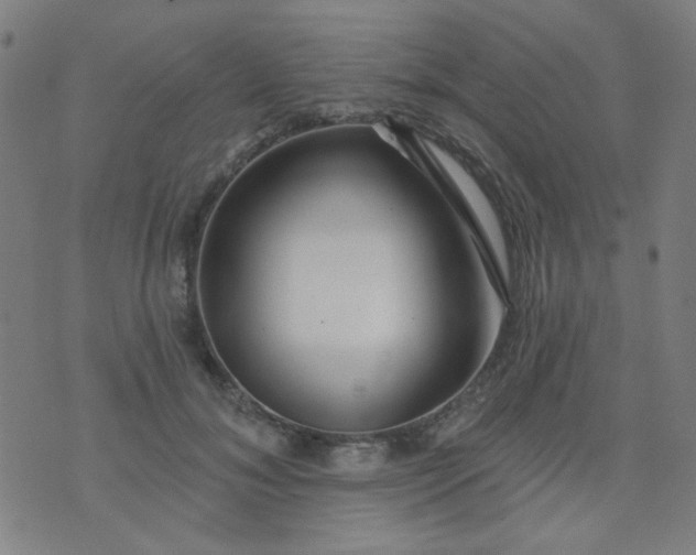 X0000070420700200606231853