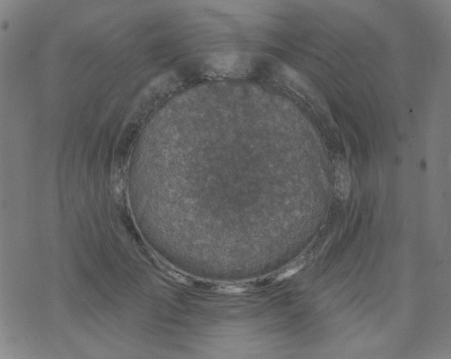 X0000070420701200606231853