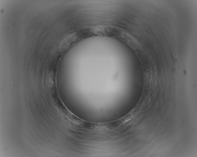 X0000070420702200606231853