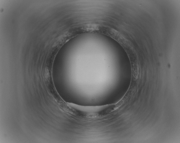 X0000070420704200606231853