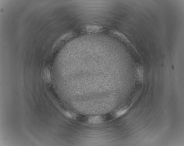 X0000070420705200606231853