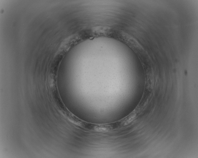 X0000070420706200606231853