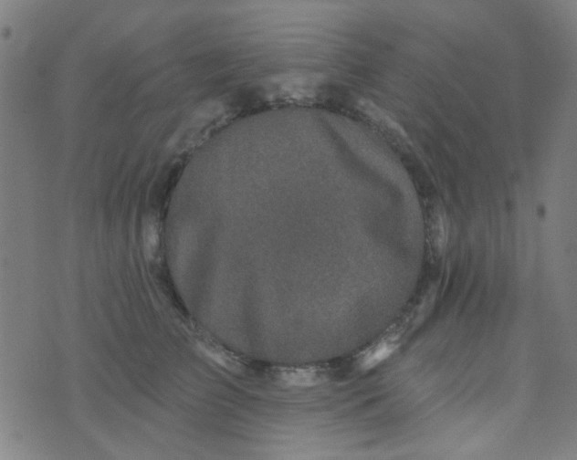 X0000070420709200606231853