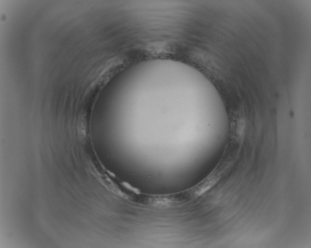 X0000070420710200606231853