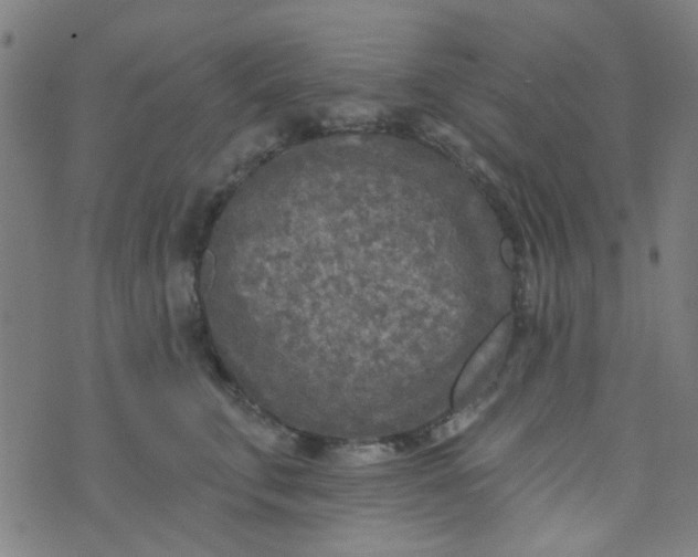 X0000070420711200606231853