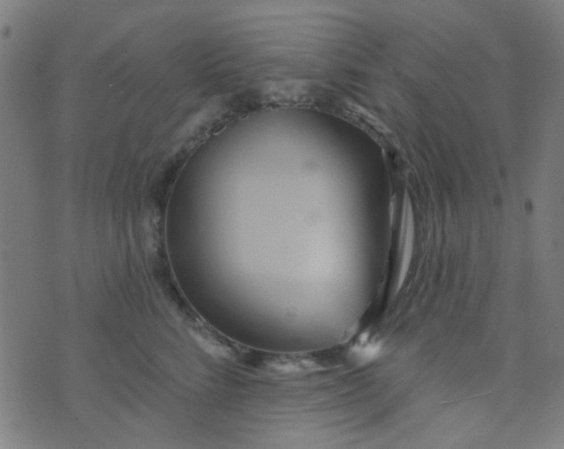 X0000070420712200606231853