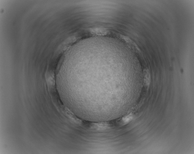 X0000070420713200606231853