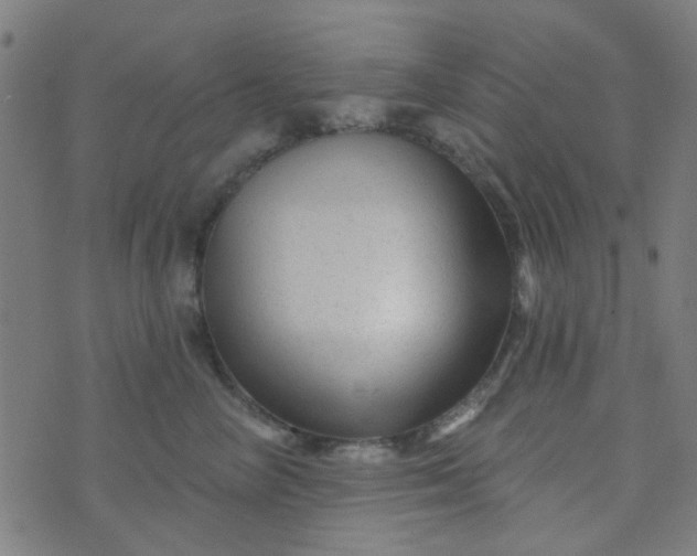 X0000070420714200606231853