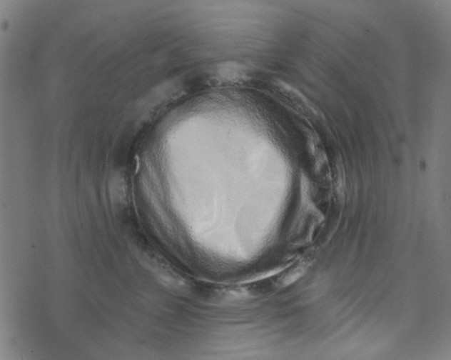 X0000070420715200606231853