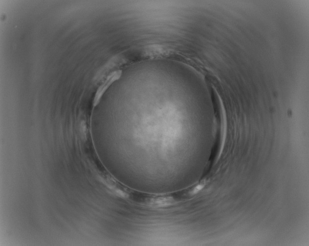 X0000070420716200606231853