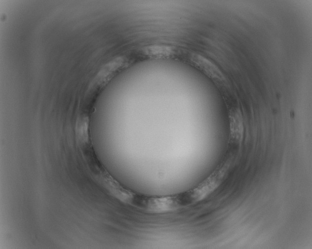 X0000070420717200606231853