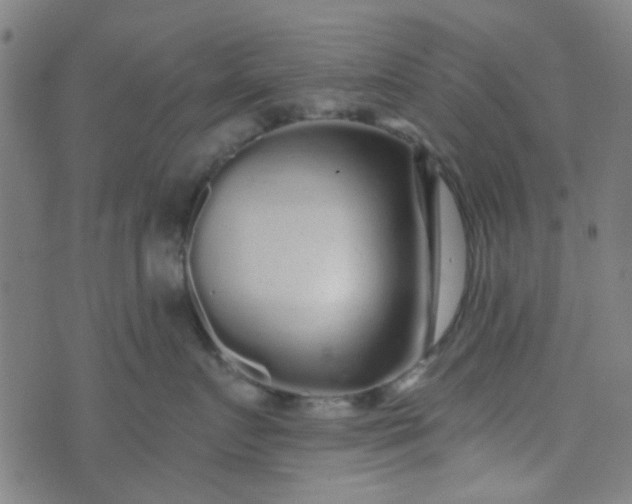 X0000070420719200606231853