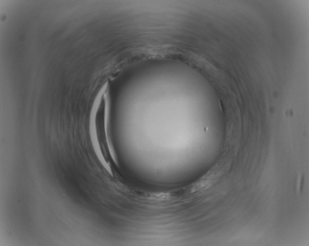 X0000070420720200606231853