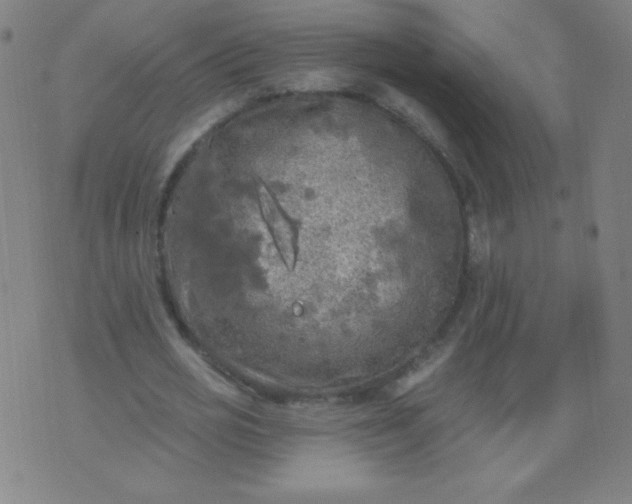 X0000070420725200606231852