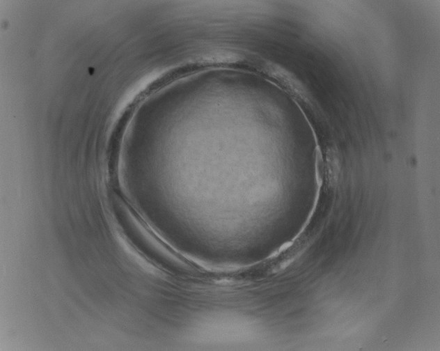 X0000070420726200606231852