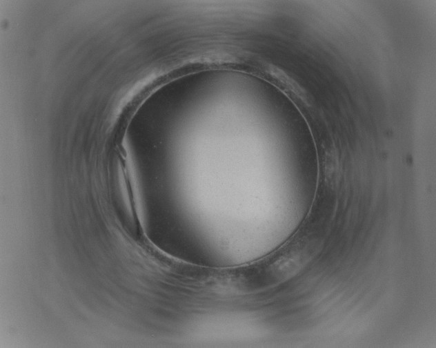 X0000070420727200606231852