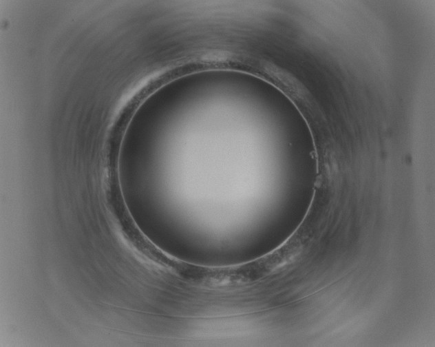 X0000070420728200606231852