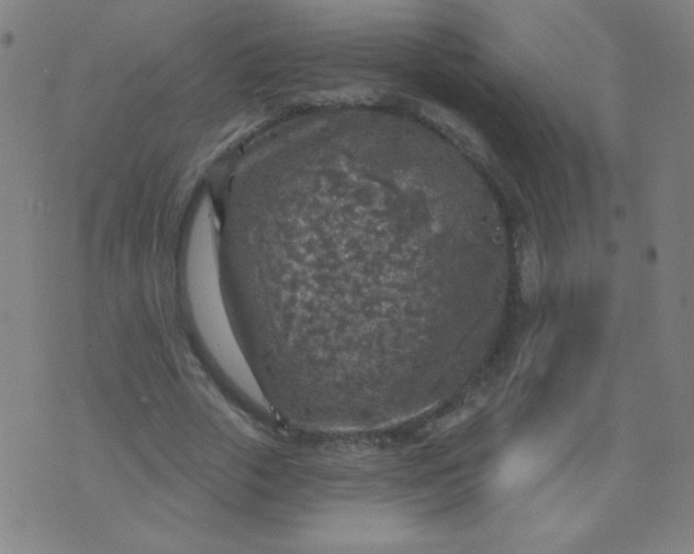 X0000070420729200606231852