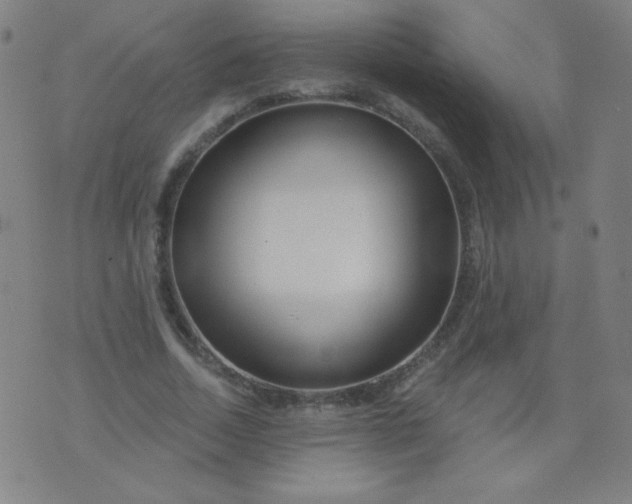 X0000070420730200606231852