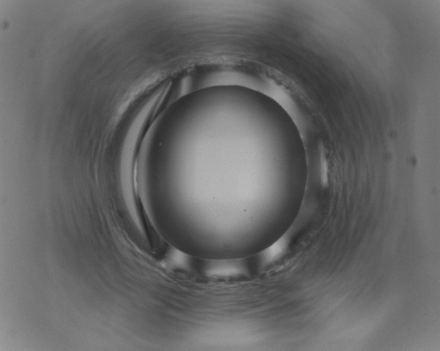 X0000070420731200606231852