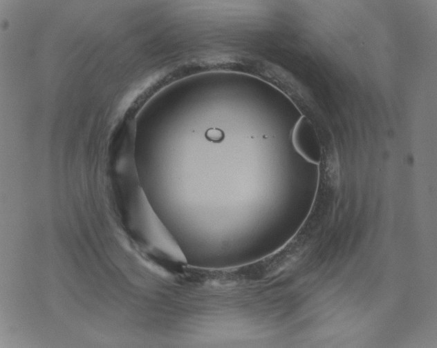 X0000070420732200606231852