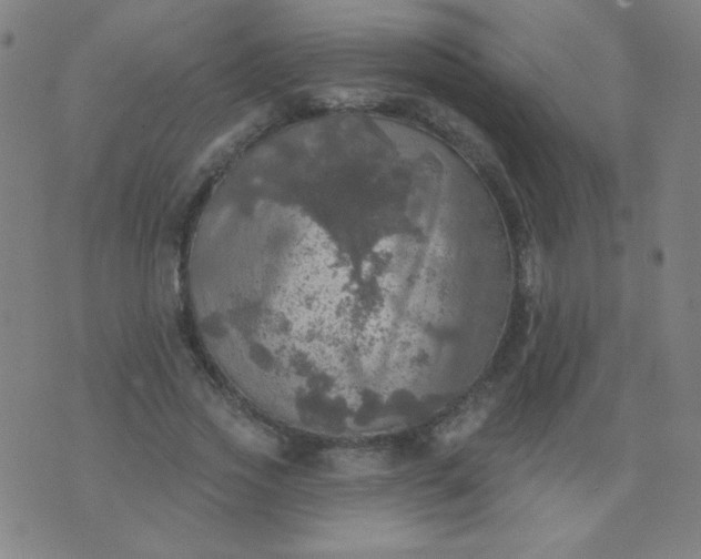 X0000070420733200606231852