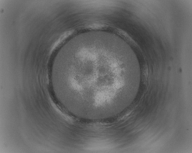 X0000070420734200606231852