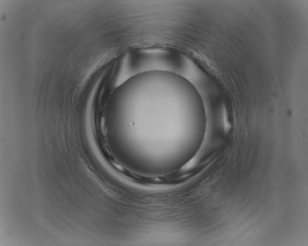 X0000070420735200606231852