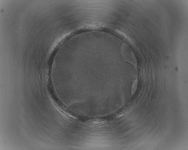 X0000070420736200606231852