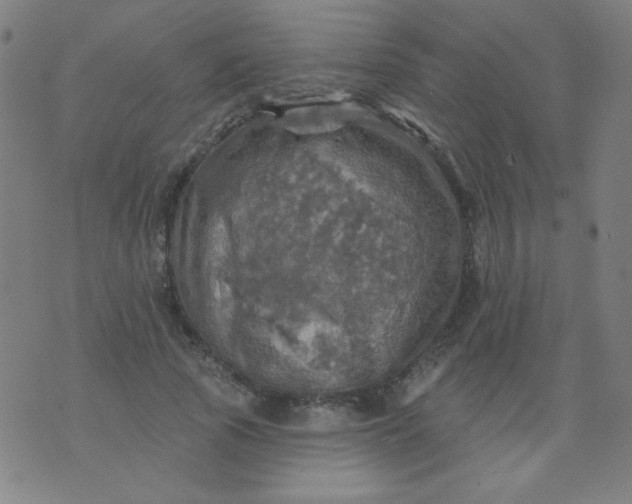 X0000070420737200606231852