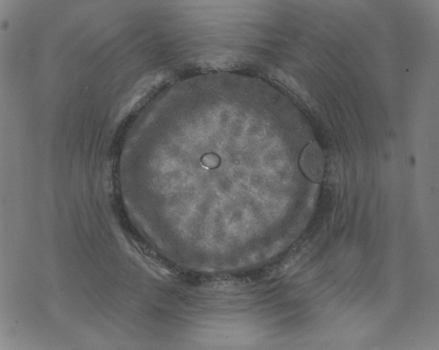 X0000070420738200606231852